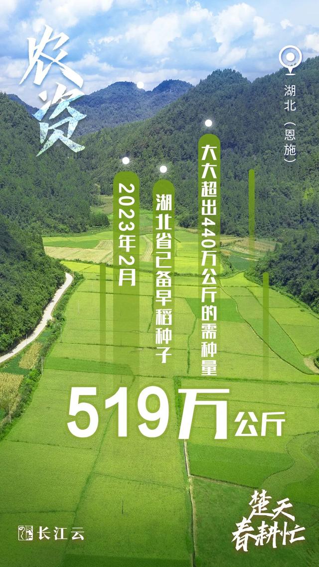 
中山二院黄牛代挂号电话票贩子号贩子网上预约挂号,住院检查加快,奋进的春天｜数说“楚天春耕忙”