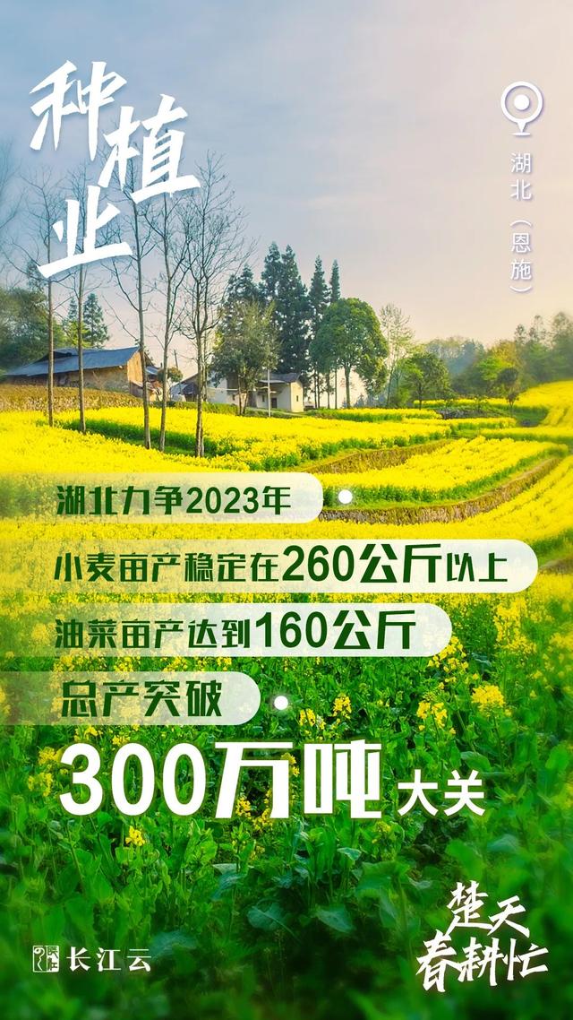 
中山二院黄牛代挂号电话票贩子号贩子网上预约挂号,住院检查加快,奋进的春天｜数说“楚天春耕忙”