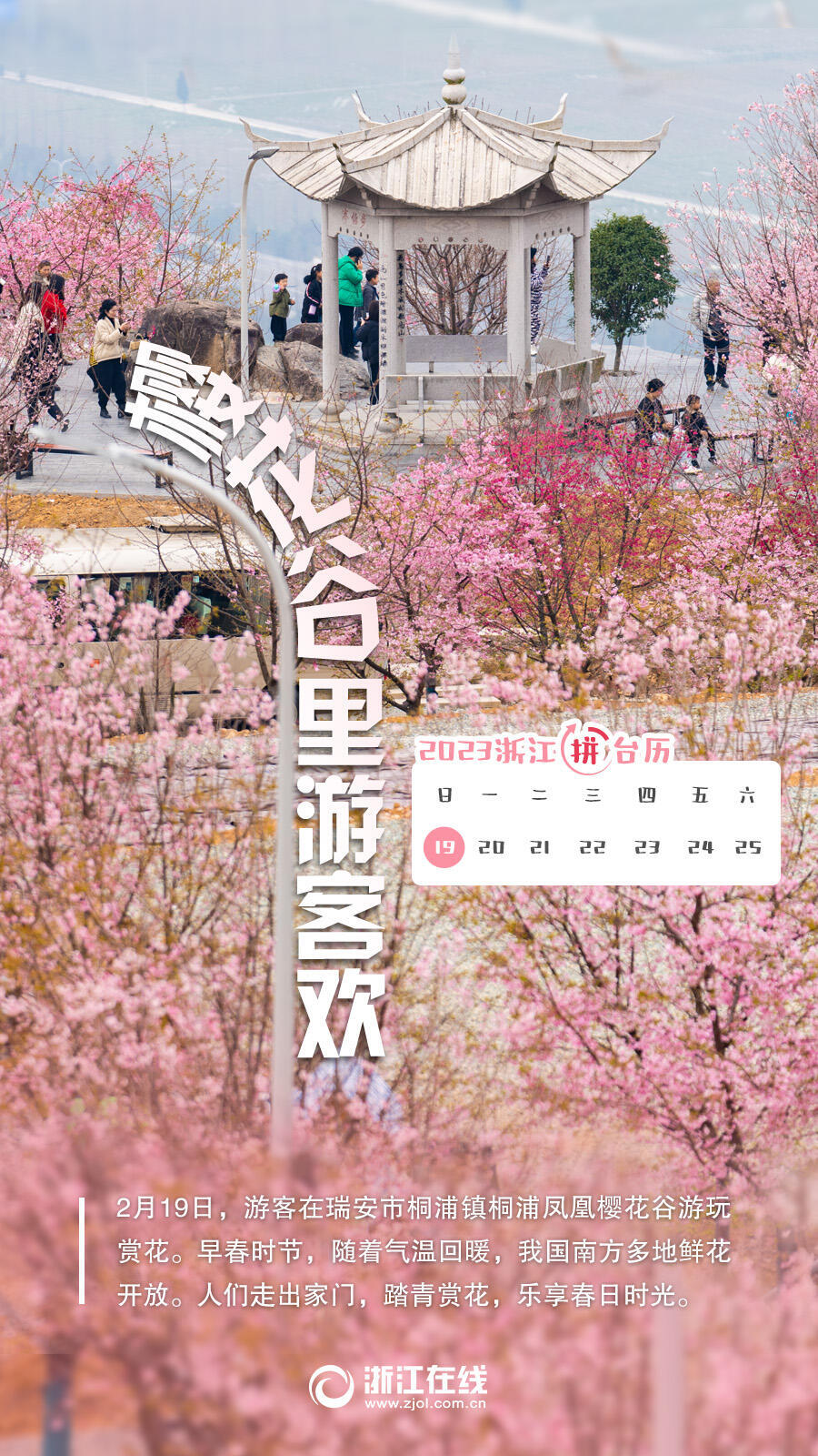 
杭州市第一人民医院黄牛代挂号电话票贩子号贩子网上预约挂号,住院检查加快,奋进的春天丨春花盛开人气涨 “赏花经济”带火乡村旅游