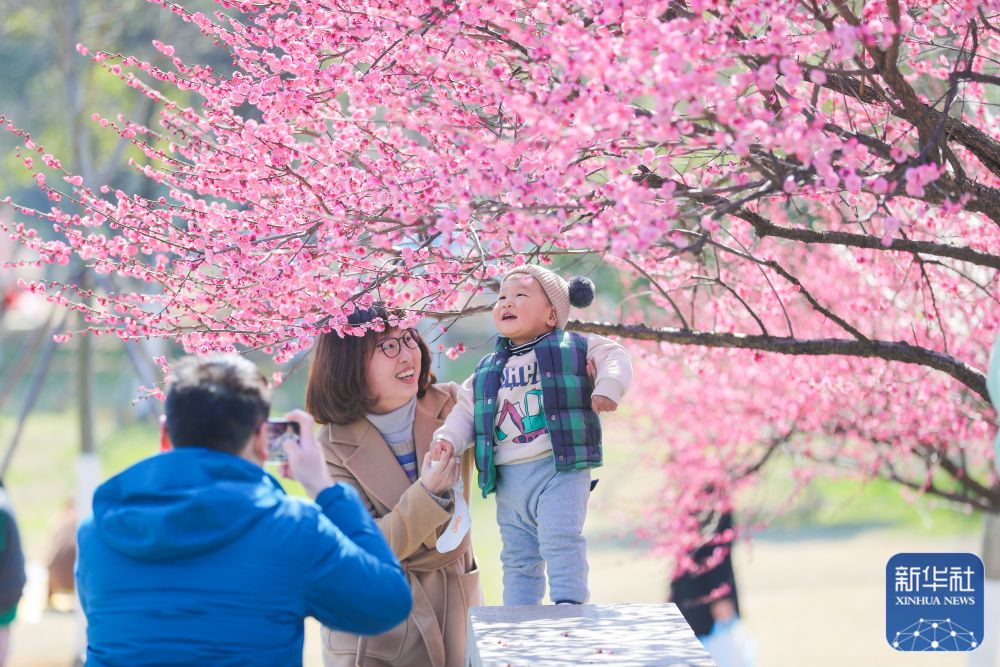 
广州中山三医院黄牛代挂号电话票贩子号贩子网上预约挂号,住院检查加快,花开春意浓
