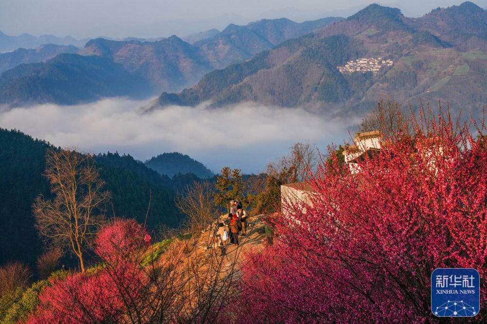 
广州中山三医院黄牛代挂号电话票贩子号贩子网上预约挂号,住院检查加快,花开春意浓