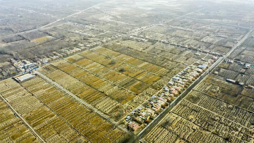 
广州中山眼科医院黄牛代挂号电话票贩子号贩子网上预约挂号,住院检查加快,十年两会·温暖记忆｜“种下石榴树，开出团结花”