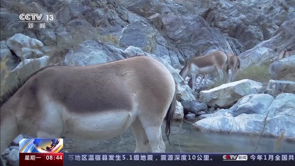 
东部战区总医院黄牛代挂号电话票贩子号贩子网上预约挂号,住院检查加快,“补水”“救护”“免打扰”…… 这片栖息地很“舒适”