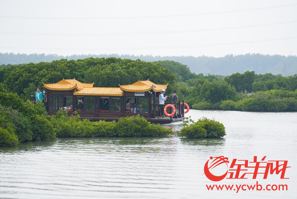 
上海龙华医院黄牛代挂号电话票贩子号贩子网上预约挂号,住院检查加快,【高质量发展看中国】“红树林之城”满是惊喜！外国专家这样点赞湛江