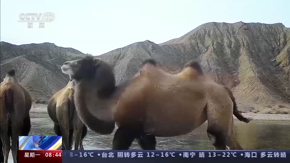 
北京佑安医院黄牛代挂号电话票贩子号贩子网上预约挂号,住院检查加快,“补水”“救护”“免打扰”…… 这片栖息地很“舒适”