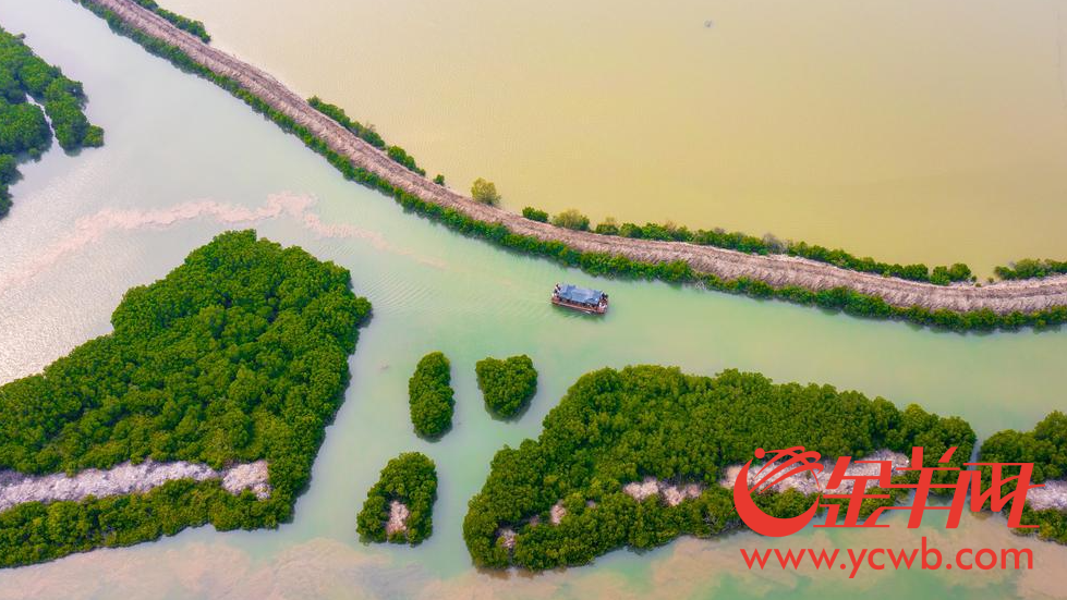 
上海龙华医院黄牛代挂号电话票贩子号贩子网上预约挂号,住院检查加快,【高质量发展看中国】“红树林之城”满是惊喜！外国专家这样点赞湛江