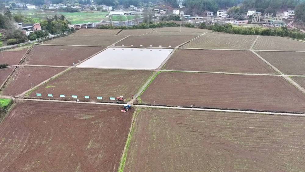 
江苏省中医院黄牛代挂号电话票贩子号贩子网上预约挂号,住院检查加快,重庆涪陵：科技助力春耕 为粮食稳产打下基础