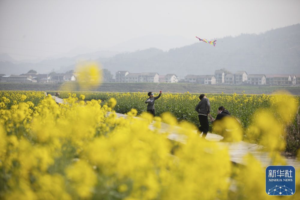 
中山二院黄牛代挂号电话票贩子号贩子网上预约挂号,住院检查加快,忙趁春风放纸鸢