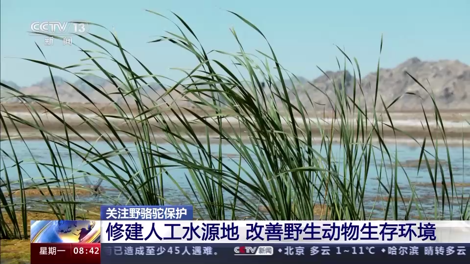 
东部战区总医院黄牛代挂号电话票贩子号贩子网上预约挂号,住院检查加快,“补水”“救护”“免打扰”…… 这片栖息地很“舒适”