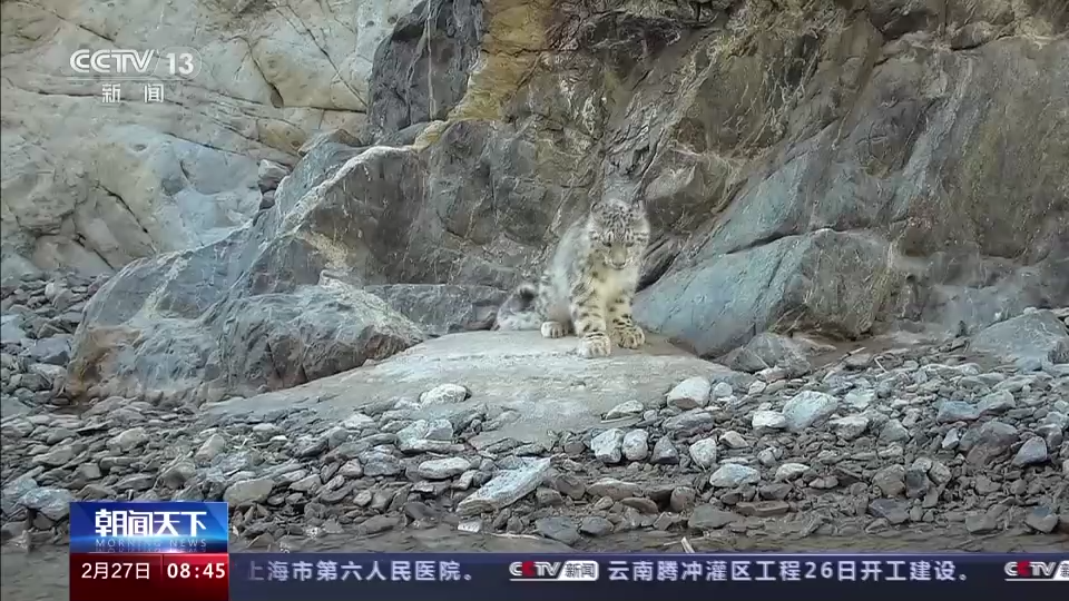 
东部战区总医院黄牛代挂号电话票贩子号贩子网上预约挂号,住院检查加快,“补水”“救护”“免打扰”…… 这片栖息地很“舒适”