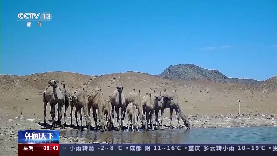 
东部战区总医院黄牛代挂号电话票贩子号贩子网上预约挂号,住院检查加快,“补水”“救护”“免打扰”…… 这片栖息地很“舒适”