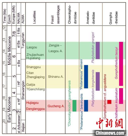 
上海第十人民医院黄牛代挂号电话票贩子号贩子网上预约挂号,住院检查加快,最新研究：1600万年前中国北方与南亚和非洲嵌齿象类直接交流