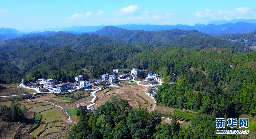 
长春吉大一院黄牛代挂号电话票贩子号贩子网上预约挂号,住院检查加快,乡村振兴在行动｜修路亮灯兴产业，振兴路上再扬鞭——五龙坪村乡村振兴记