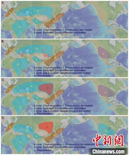 
上海第十人民医院黄牛代挂号电话票贩子号贩子网上预约挂号,住院检查加快,最新研究：1600万年前中国北方与南亚和非洲嵌齿象类直接交流
