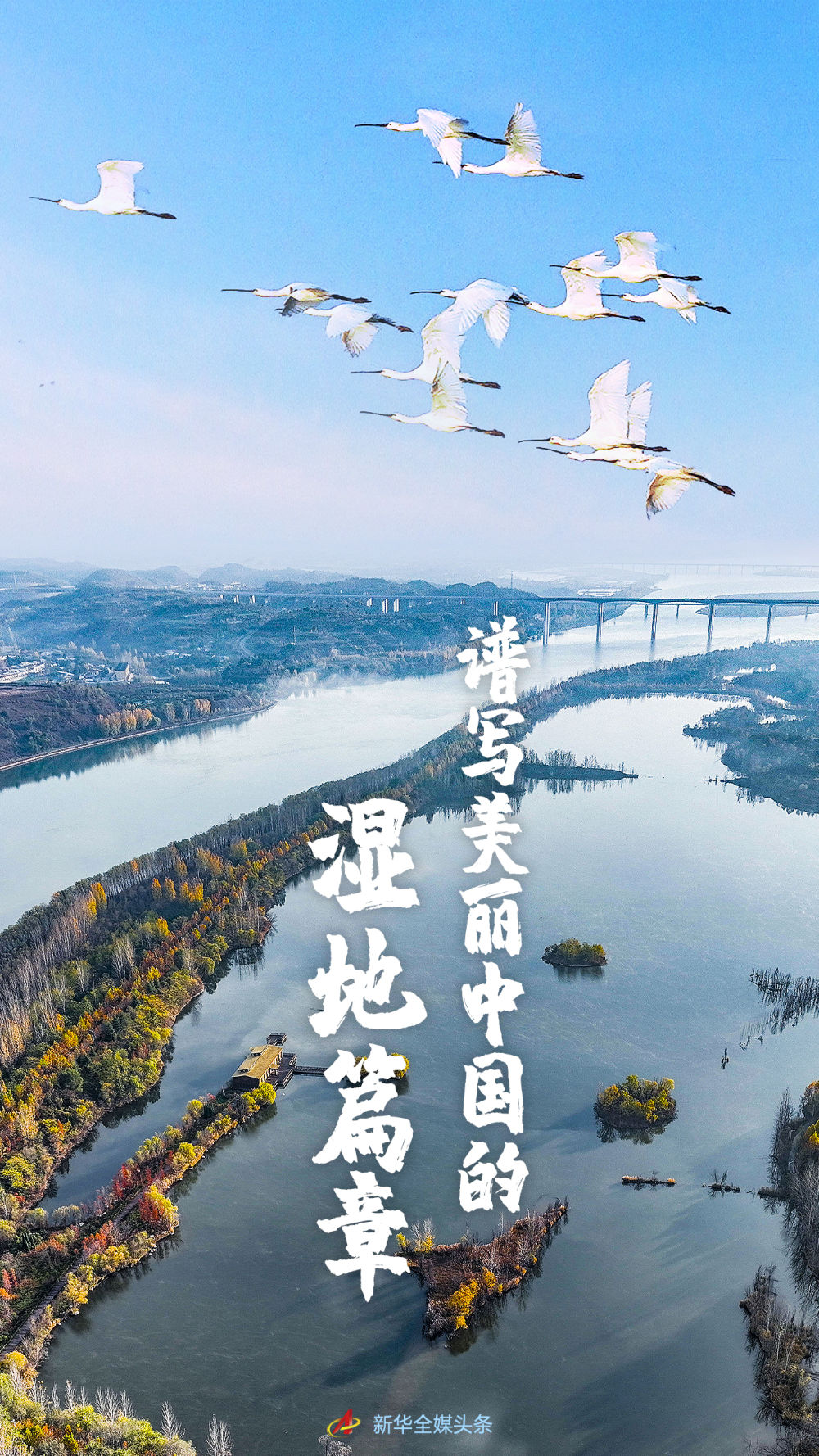 
江苏省第二中医院黄牛代挂号电话票贩子号贩子网上预约挂号,住院检查加快,谱写美丽中国的湿地篇章——写在第27个世界湿地日