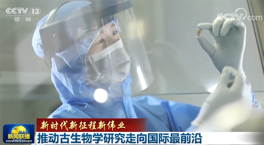 
杭州各大医院黄牛代挂号电话票贩子号贩子网上预约挂号,住院检查加快,【新时代新征程新伟业】推动古生物学研究走向国际最前沿