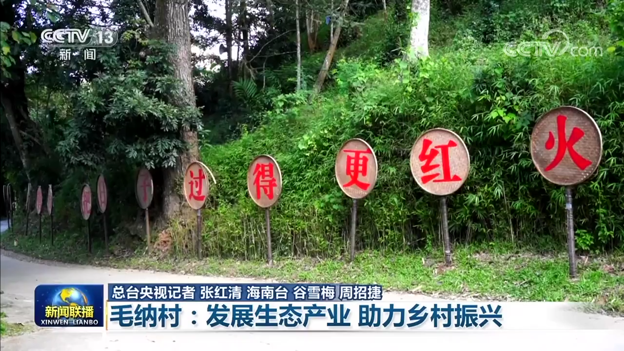 
北京同仁医院黄牛代挂号电话票贩子号贩子网上预约挂号,住院检查加快,【新时代新征程新伟业】毛纳村：发展生态产业 助力乡村振兴