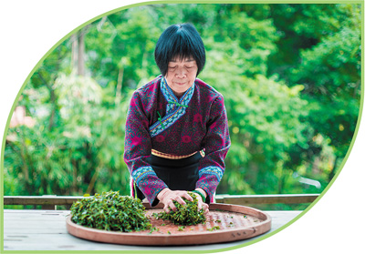 
广州口腔医院黄牛代挂号电话票贩子号贩子网上预约挂号,住院检查加快,系统呈现中国茶演变风貌