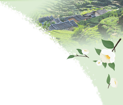 
广州口腔医院黄牛代挂号电话票贩子号贩子网上预约挂号,住院检查加快,系统呈现中国茶演变风貌