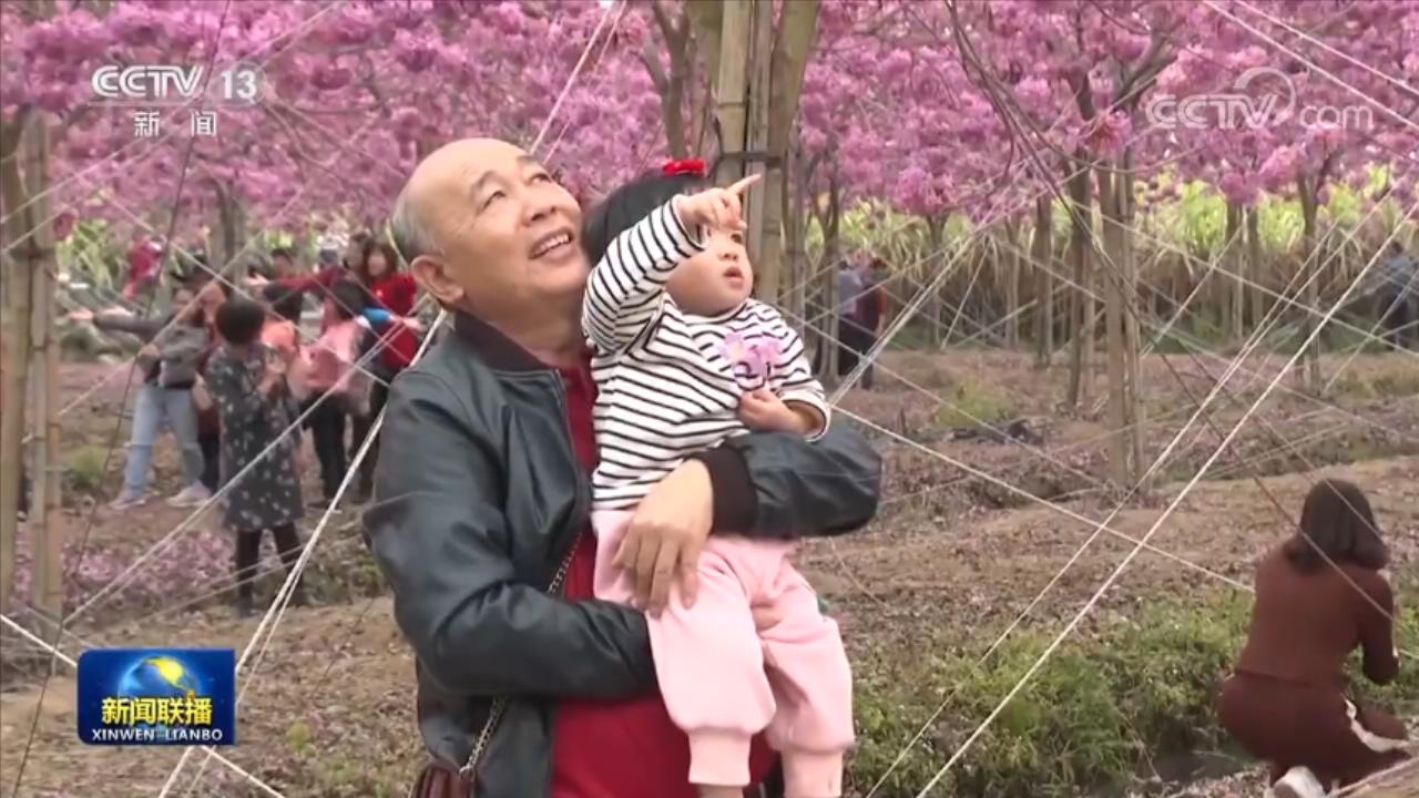 
首都医科大学附属北京中医院黄牛代挂号电话票贩子号贩子网上预约挂号,住院检查加快,花开中国 感受春天
