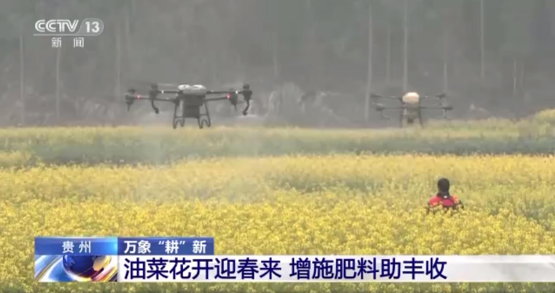 
北京积水潭医院黄牛代挂号电话票贩子号贩子网上预约挂号,住院检查加快,不误农时不负春 穰穰满家的一年从这里开始！