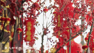 
北京西苑医院黄牛代挂号电话票贩子号贩子网上预约挂号,住院检查加快,元宵庆团圆｜MV《岁岁年年》