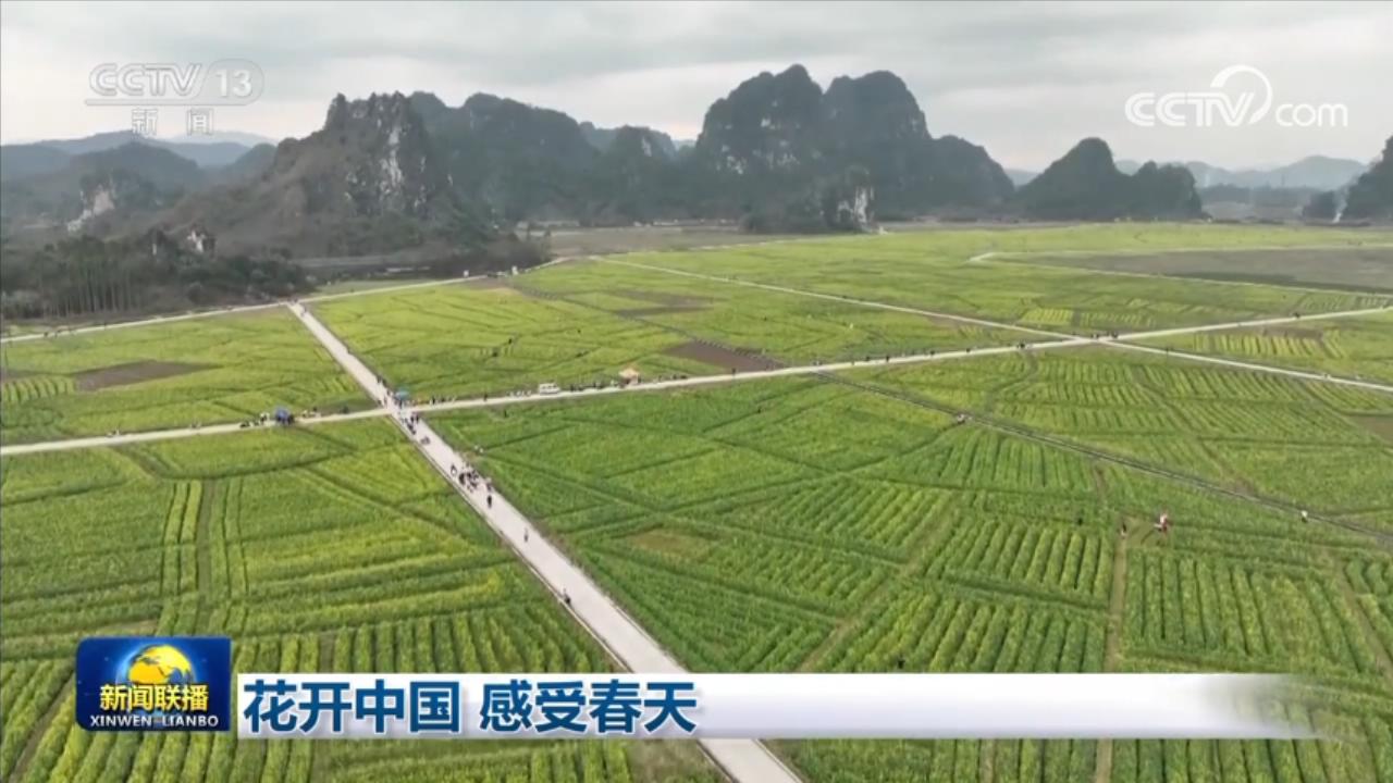 
首都医科大学附属北京中医院黄牛代挂号电话票贩子号贩子网上预约挂号,住院检查加快,花开中国 感受春天