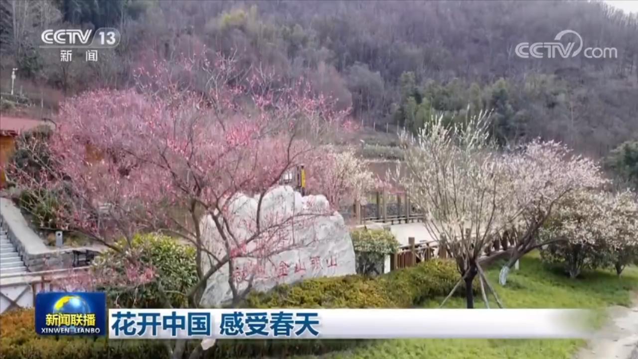 
首都医科大学附属北京中医院黄牛代挂号电话票贩子号贩子网上预约挂号,住院检查加快,花开中国 感受春天