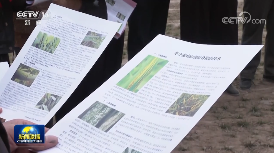 
首都医科大学附属北京中医院黄牛代挂号电话票贩子号贩子网上预约挂号,住院检查加快,【新思想引领新征程】抢抓农时备春耕 全力以赴提升粮食产能