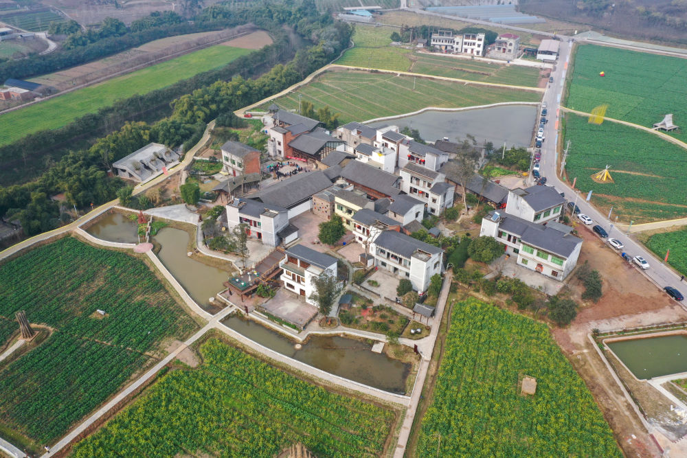 
北京广安门中医院黄牛代挂号电话票贩子号贩子网上预约挂号,住院检查加快,“空心村”变成“艺术村”——重庆璧山“艺术乡建”激活乡村振兴一池春水