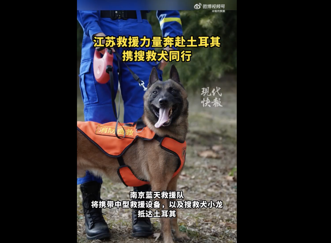 
北京协和医院黄牛代挂号电话票贩子号贩子网上预约挂号,住院检查加快,中国救援队包机已起飞，@土耳其驻华大使馆 发声！
