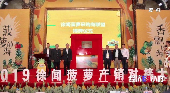 
杭州市第一人民医院黄牛代挂号电话票贩子号贩子网上预约挂号,住院检查加快,RCEP市场迎来“中国菠萝”！年产值飙升至25亿元，徐闻菠萝解锁“销售密码”