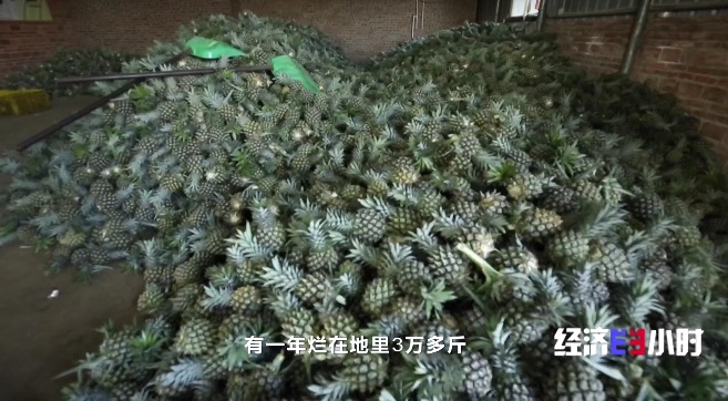 
杭州市第一人民医院黄牛代挂号电话票贩子号贩子网上预约挂号,住院检查加快,RCEP市场迎来“中国菠萝”！年产值飙升至25亿元，徐闻菠萝解锁“销售密码”