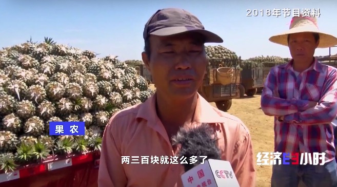 
杭州市第一人民医院黄牛代挂号电话票贩子号贩子网上预约挂号,住院检查加快,RCEP市场迎来“中国菠萝”！年产值飙升至25亿元，徐闻菠萝解锁“销售密码”