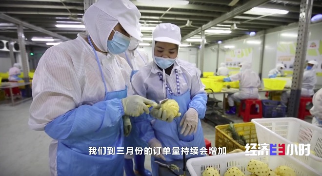 
杭州市第一人民医院黄牛代挂号电话票贩子号贩子网上预约挂号,住院检查加快,RCEP市场迎来“中国菠萝”！年产值飙升至25亿元，徐闻菠萝解锁“销售密码”