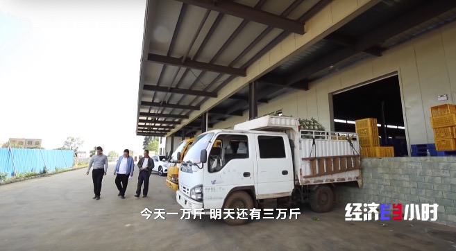 
杭州市第一人民医院黄牛代挂号电话票贩子号贩子网上预约挂号,住院检查加快,RCEP市场迎来“中国菠萝”！年产值飙升至25亿元，徐闻菠萝解锁“销售密码”