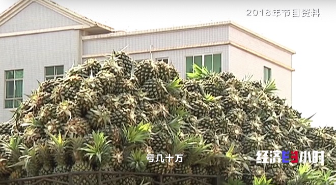 
杭州市第一人民医院黄牛代挂号电话票贩子号贩子网上预约挂号,住院检查加快,RCEP市场迎来“中国菠萝”！年产值飙升至25亿元，徐闻菠萝解锁“销售密码”