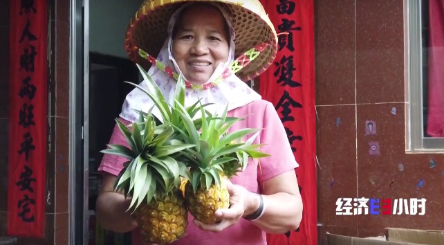 
杭州市第一人民医院黄牛代挂号电话票贩子号贩子网上预约挂号,住院检查加快,RCEP市场迎来“中国菠萝”！年产值飙升至25亿元，徐闻菠萝解锁“销售密码”