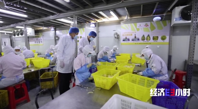 
杭州市第一人民医院黄牛代挂号电话票贩子号贩子网上预约挂号,住院检查加快,RCEP市场迎来“中国菠萝”！年产值飙升至25亿元，徐闻菠萝解锁“销售密码”
