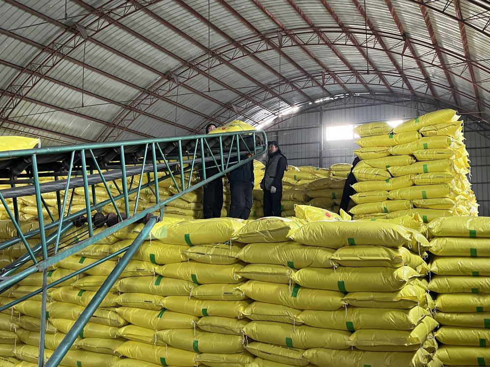 
西安西京医院黄牛代挂号电话票贩子号贩子网上预约挂号,住院检查加快,稳中求进每月看|着力推动经济稳步回升——2月全国各地经济社会发展扫描