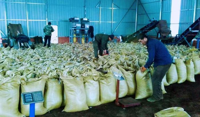 
包含北京大学第一医院黄牛代挂号电话票贩子号贩子网上预约挂号,住院检查加快,“北漂”程序员返乡：从每天敲100行代码 到每天卖1吨羊粪营养土