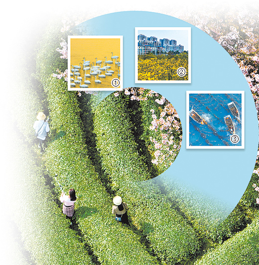 
北京肿瘤医院黄牛代挂号电话票贩子号贩子网上预约挂号,住院检查加快,生态文明，为地球增添“中国绿”（大国之治）