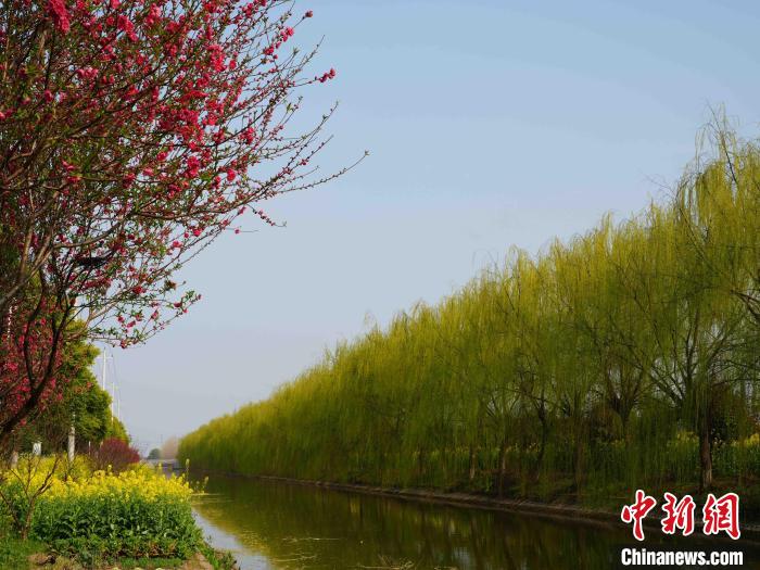 
浙江省同德医院黄牛代挂号电话票贩子号贩子网上预约挂号,住院检查加快,湖南洞庭湖区县探索“沟渠经济” 美了村庄富村民