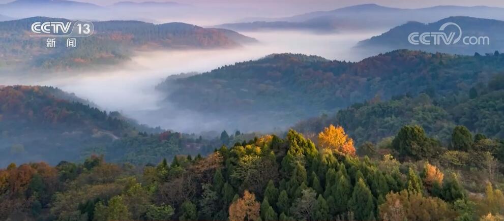 
北京301医院黄牛代挂号电话票贩子号贩子网上预约挂号,住院检查加快,全国政协委员陈槐：加强科普宣传力度 提升生物多样性保护全民参与度