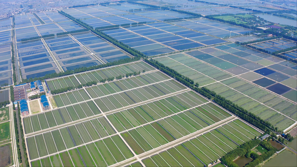 
北医六院黄牛代挂号电话票贩子号贩子网上预约挂号,住院检查加快,两会访谈 | 农民合作社引领共富路