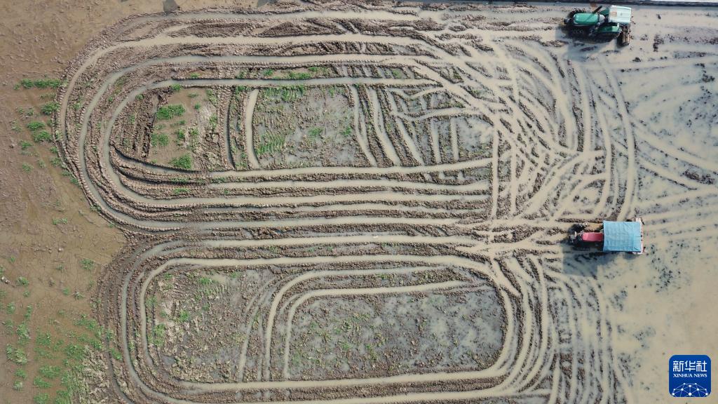 
上海肿瘤医院黄牛代挂号电话票贩子号贩子网上预约挂号,住院检查加快,新华全媒+丨农机“比武”备春耕