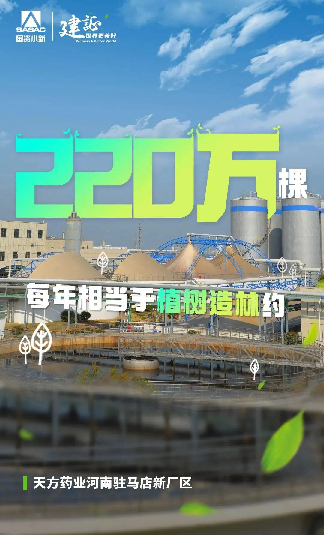 
北京世纪坛医院黄牛代挂号电话票贩子号贩子网上预约挂号,住院检查加快,解码“植树”大户的绿色算法