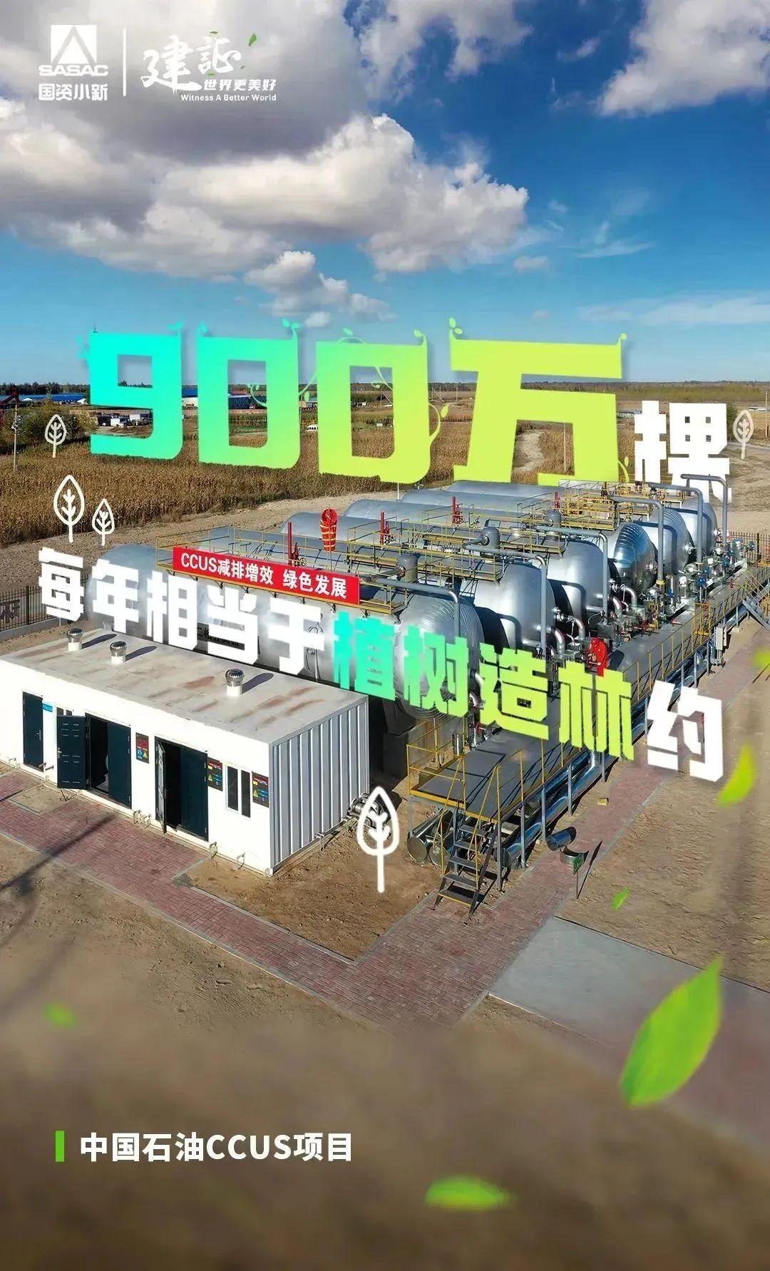 
北京世纪坛医院黄牛代挂号电话票贩子号贩子网上预约挂号,住院检查加快,解码“植树”大户的绿色算法