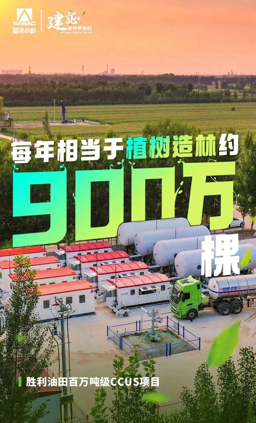 
北京世纪坛医院黄牛代挂号电话票贩子号贩子网上预约挂号,住院检查加快,解码“植树”大户的绿色算法