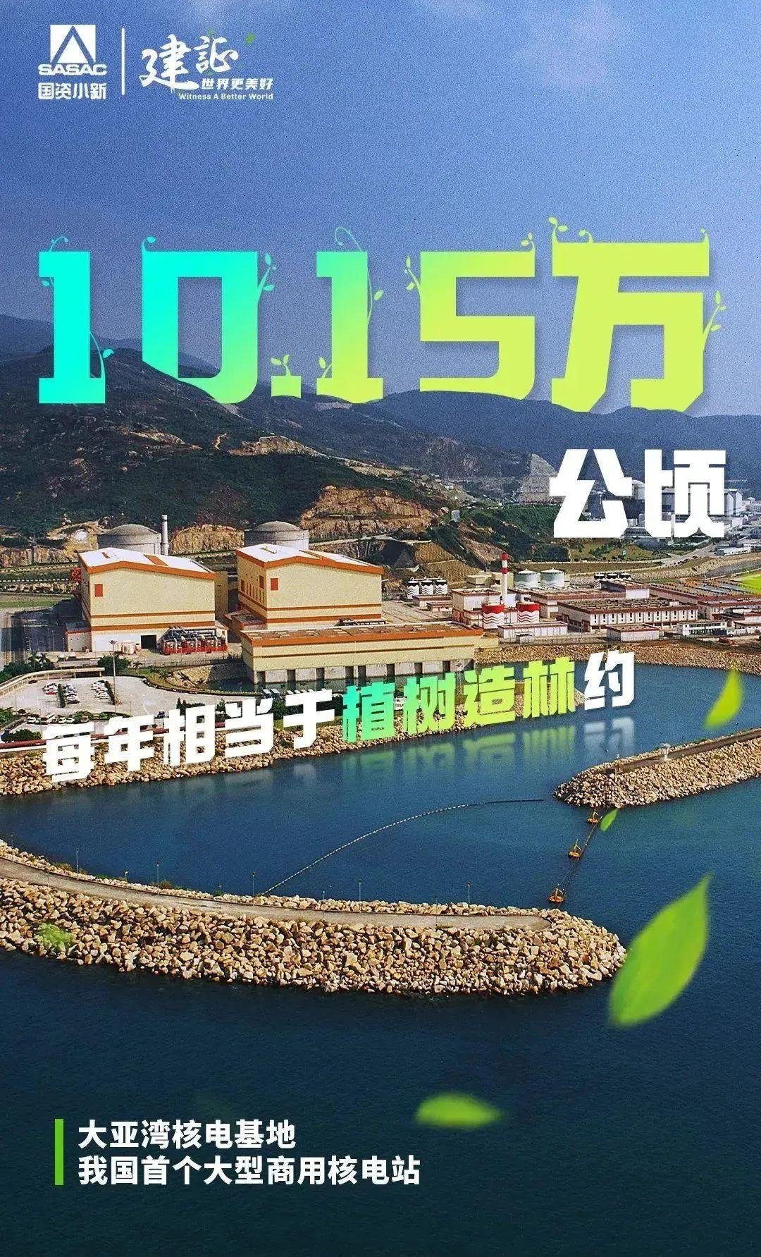 
北京世纪坛医院黄牛代挂号电话票贩子号贩子网上预约挂号,住院检查加快,解码“植树”大户的绿色算法